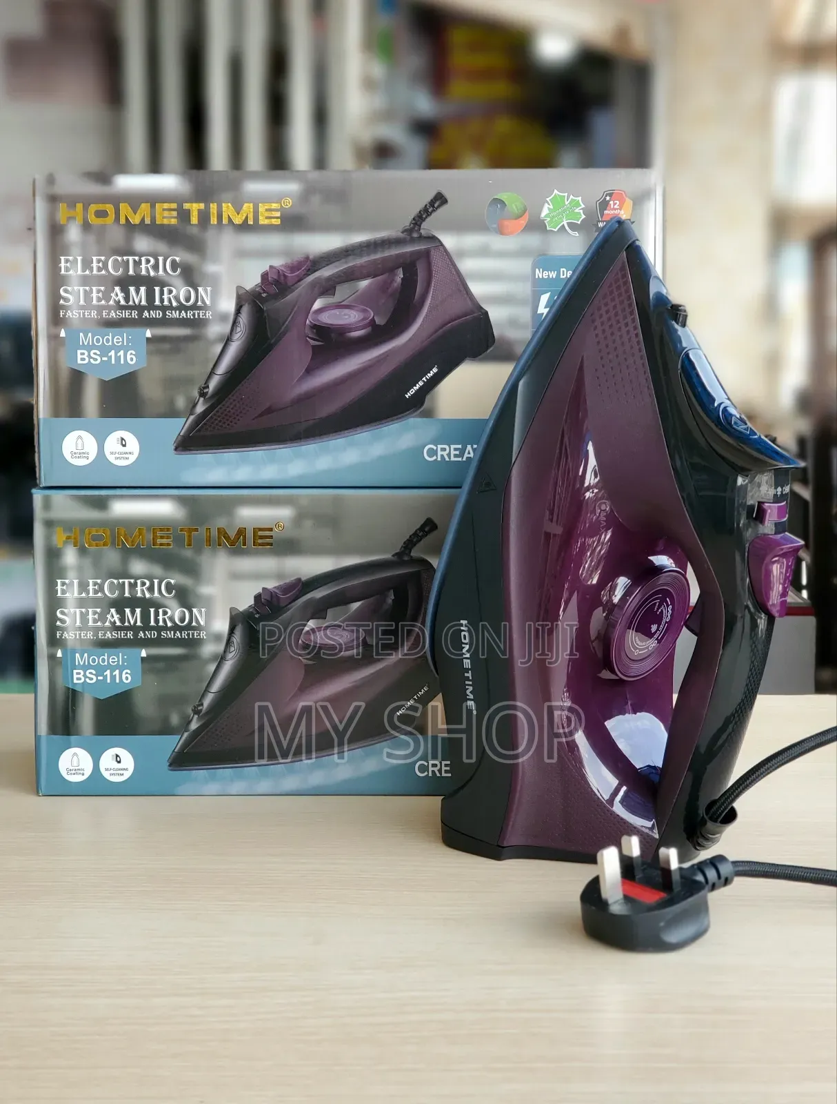 Electric Steam Iron Bs-116