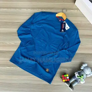 Plain Blue Long Sleeved Tshirt