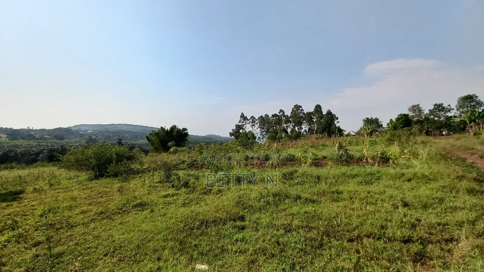 100x100 Plot of Land for Sale at Jungo Nakawuka