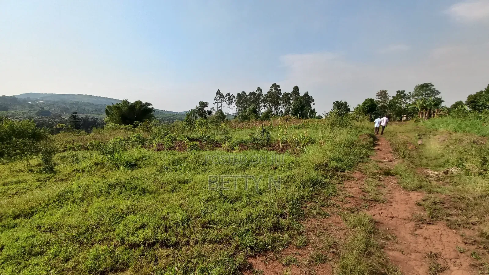 100x100 Plot of Land for Sale at Jungo Nakawuka