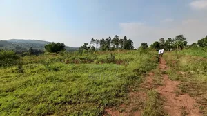 100x100 Plot of Land for Sale at Jungo Nakawuka