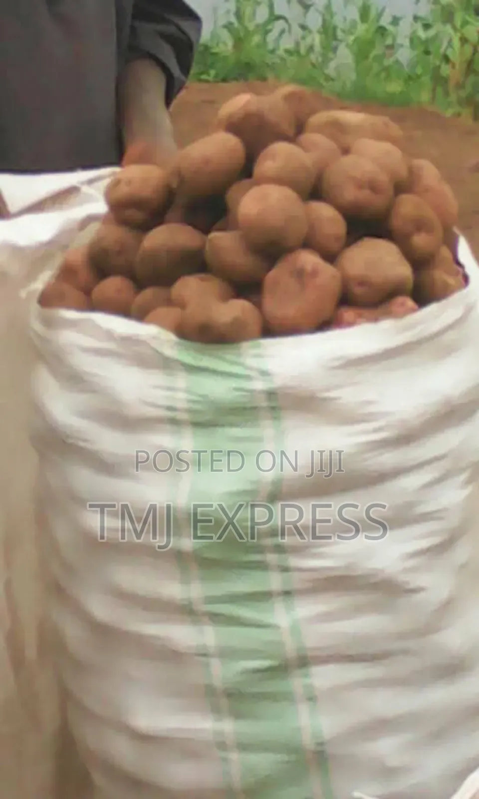 100 Kg Sack Of Fresh Irish Potatoes