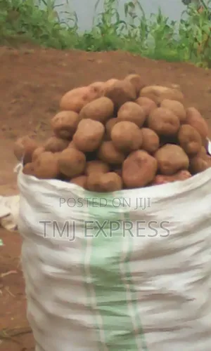 100 Kg Sack Of Fresh Irish Potatoes