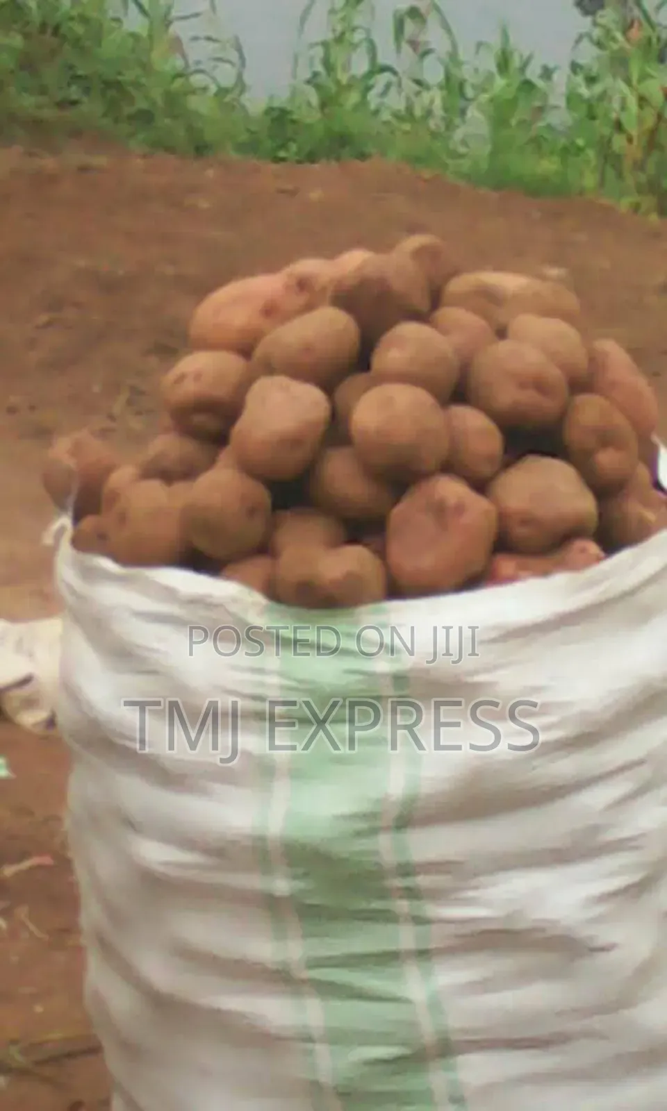 100 Kg Sack Of Fresh Irish Potatoes