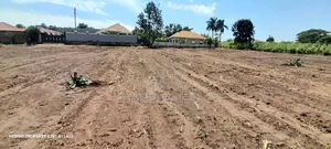 Prime Plots for Sale at Wakiso~Namusera Divine Land Estate V