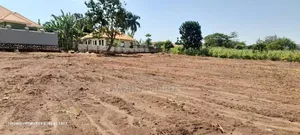 Prime Plots for Sale at Wakiso~Namusera Divine Land Estate V