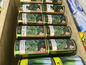 Certified Hybrid Seeds –| High Yield Disease-Resistant