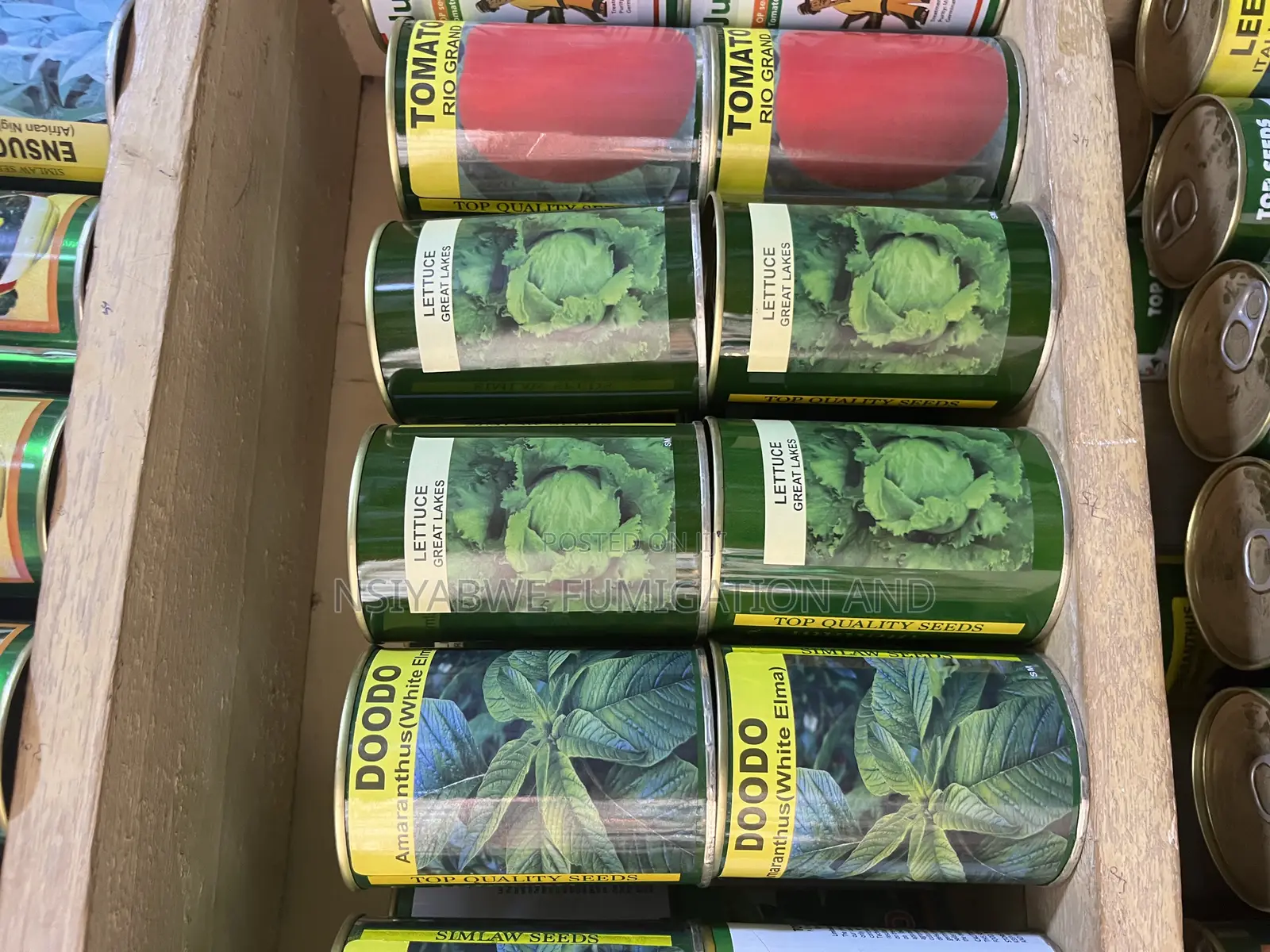 Certified Hybrid Seeds –| High Yield Disease-Resistant