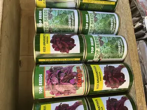 Certified Hybrid Seeds –| High Yield Disease-Resistant