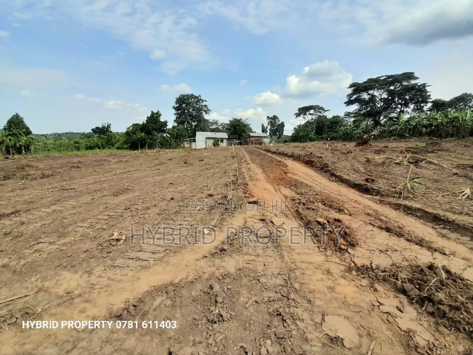 Prime Plots for Sale in Gobero Town~Hoima Rd Wakiso District