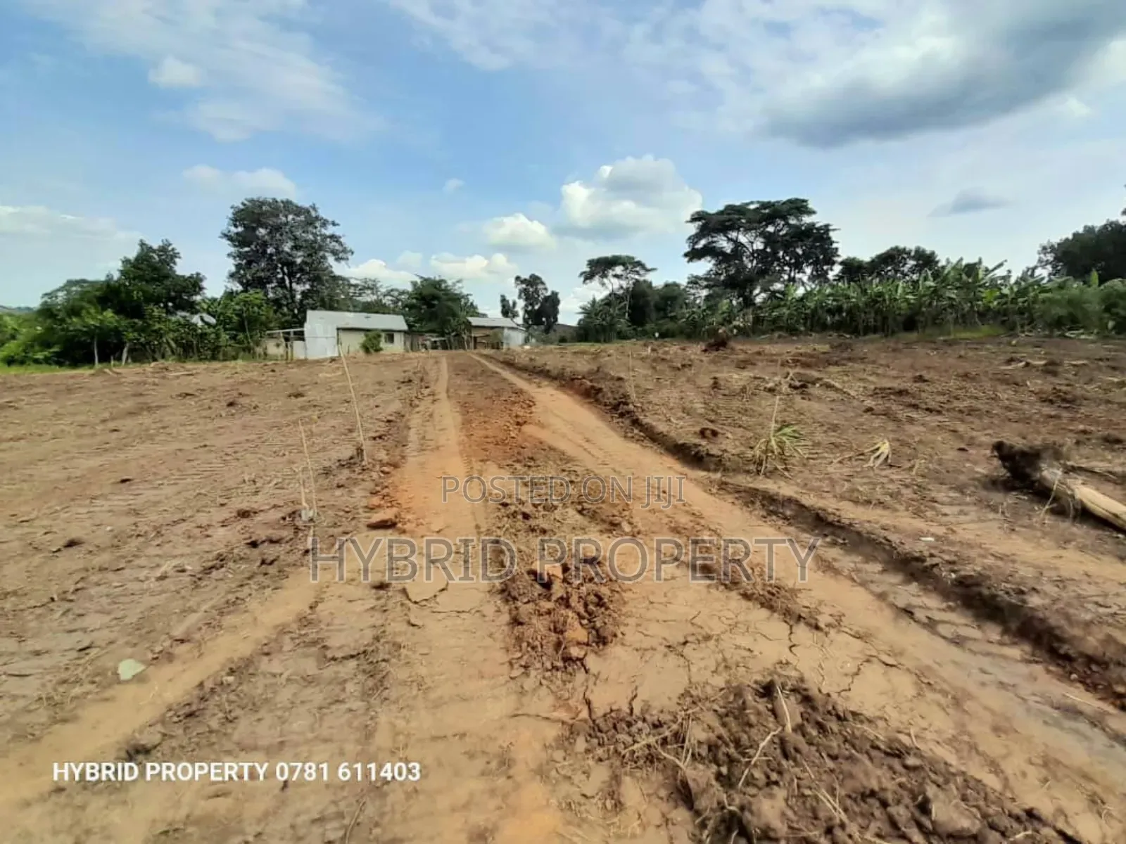 Prime Plots for Sale in Gobero Town~Hoima Rd Wakiso District