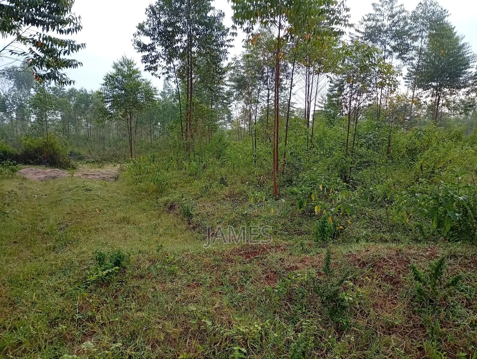 Land for Leasing