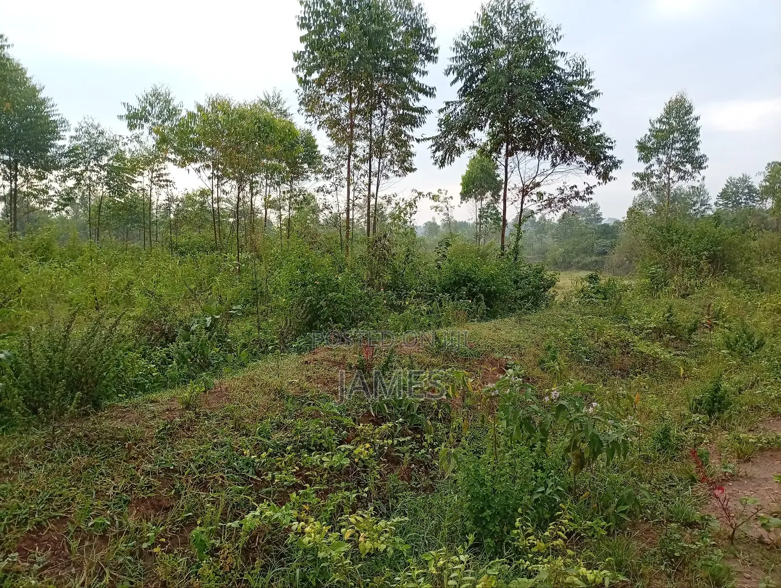 Land for Leasing