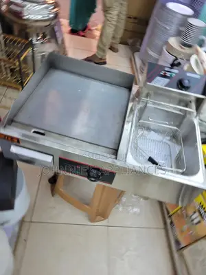 2in1 Griddle and Deepfryer Machine