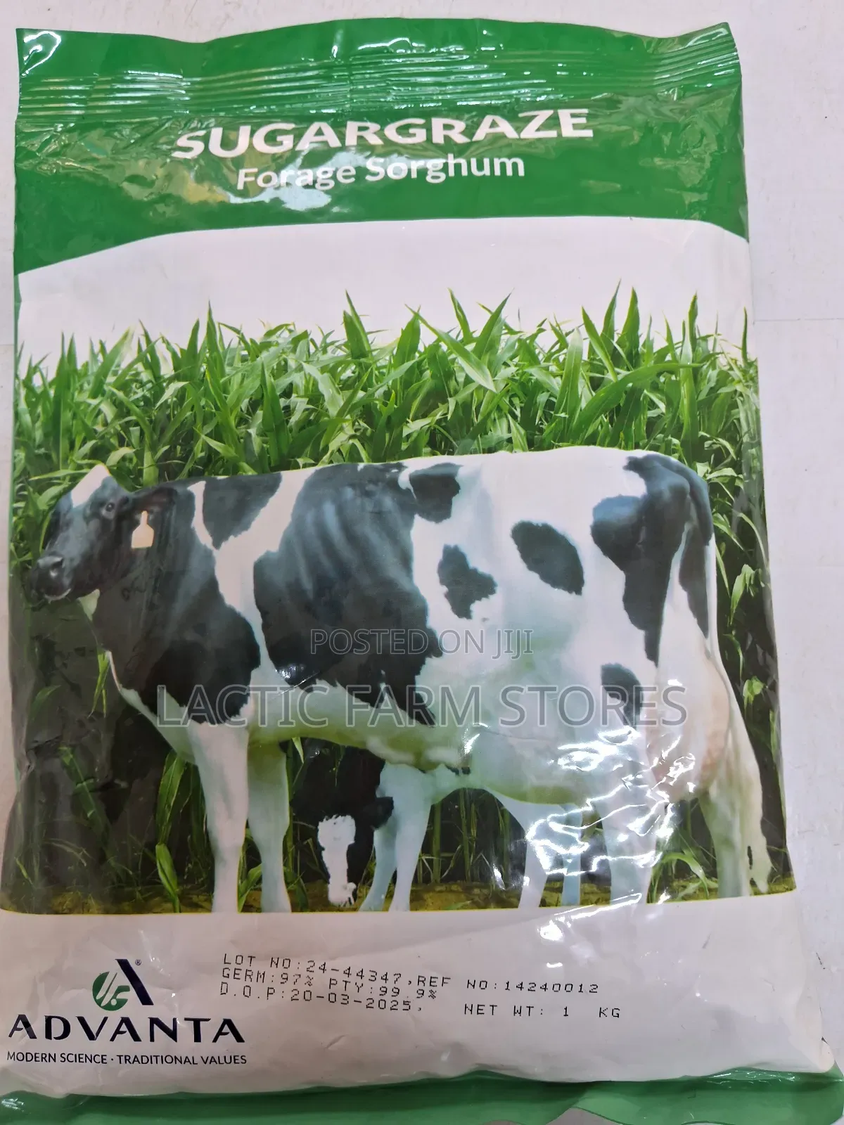 Sugar-Graze Forage Sorghum Hybrid Seeds (1kg)