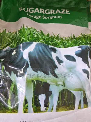 Sugar-Graze Forage Sorghum Hybrid Seeds (1kg)