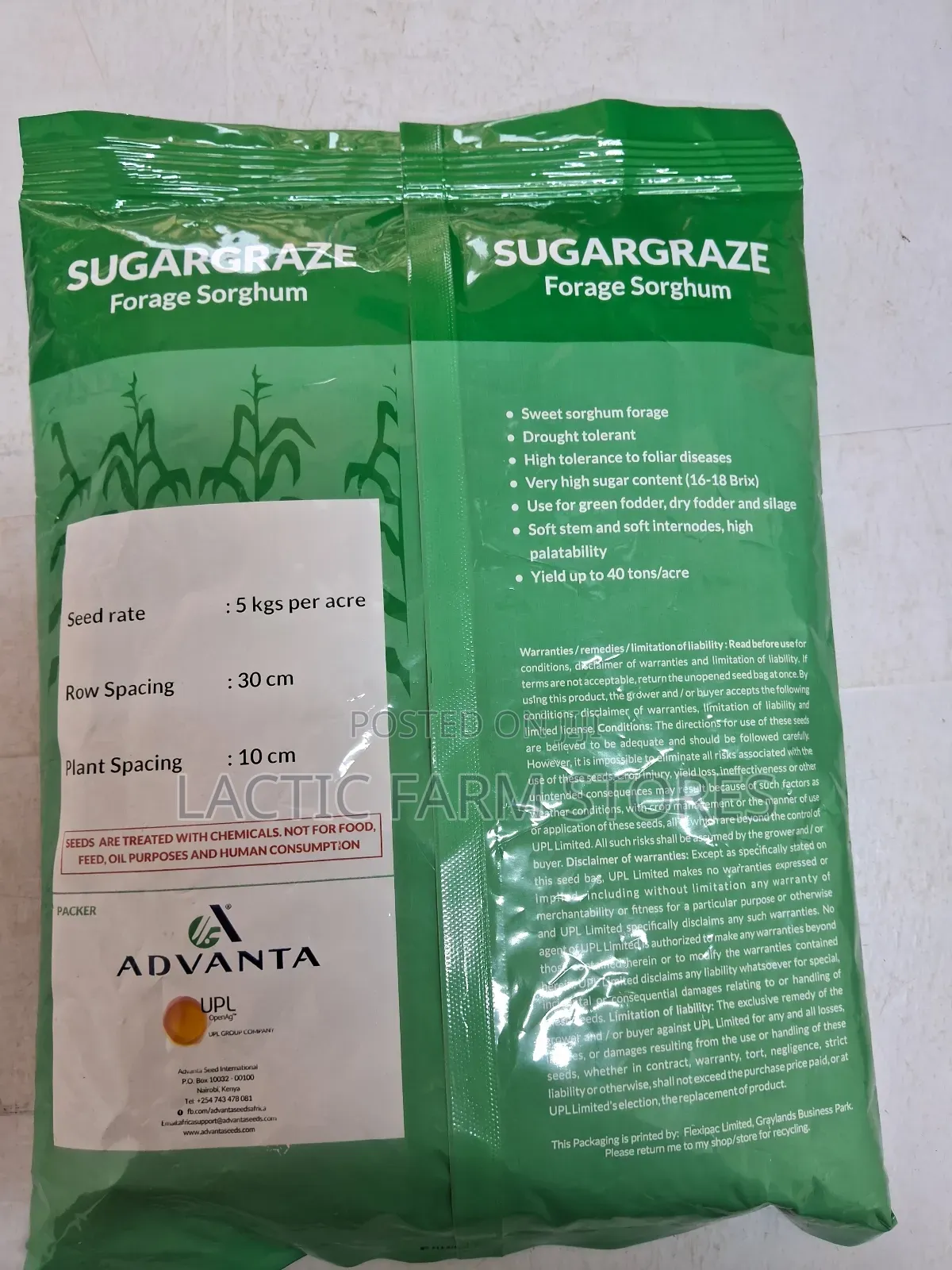 Sugar-Graze Forage Sorghum Hybrid Seeds (1kg)