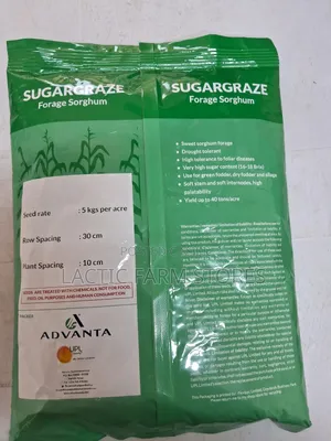 Sugar-Graze Forage Sorghum Hybrid Seeds (1kg)