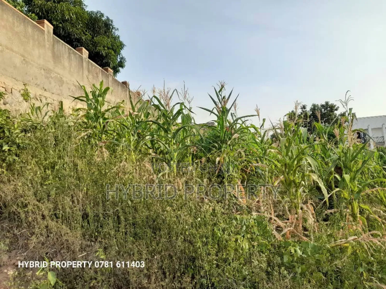 Prime Plot for Sale at Nansana~Naluvule [Kabulengwa Akright]