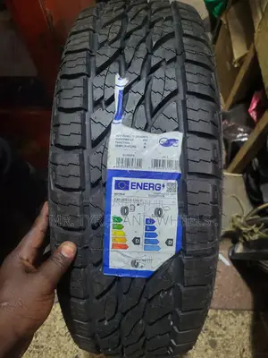 235 70 R16 Good Tires Are Always With Us Cam N See.