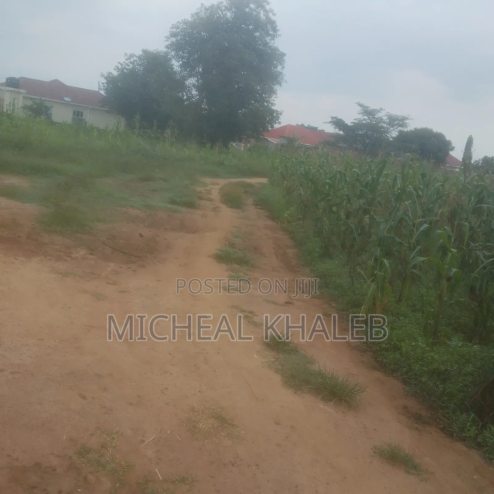 Land on Sale
