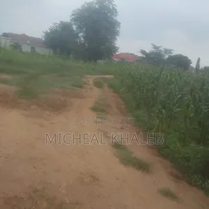 Land on Sale