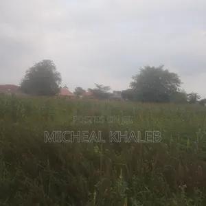 Land on Sale