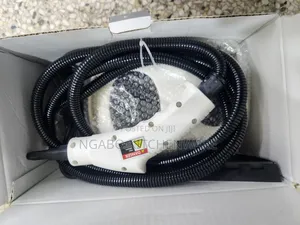 Portable Steam Cleaner