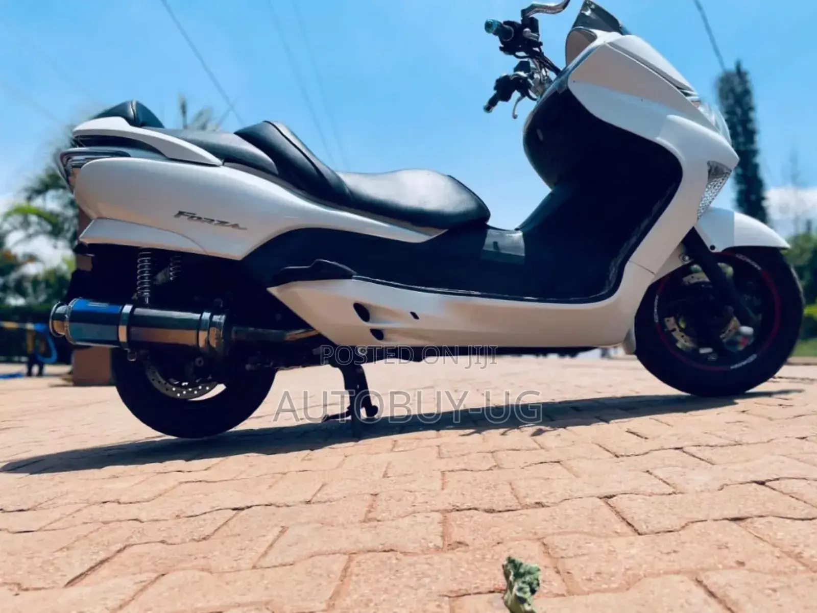 Honda Forza 2020 White