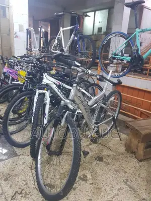 Mountain Bikes