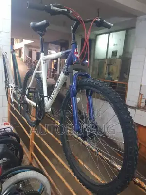Mountain Bikes