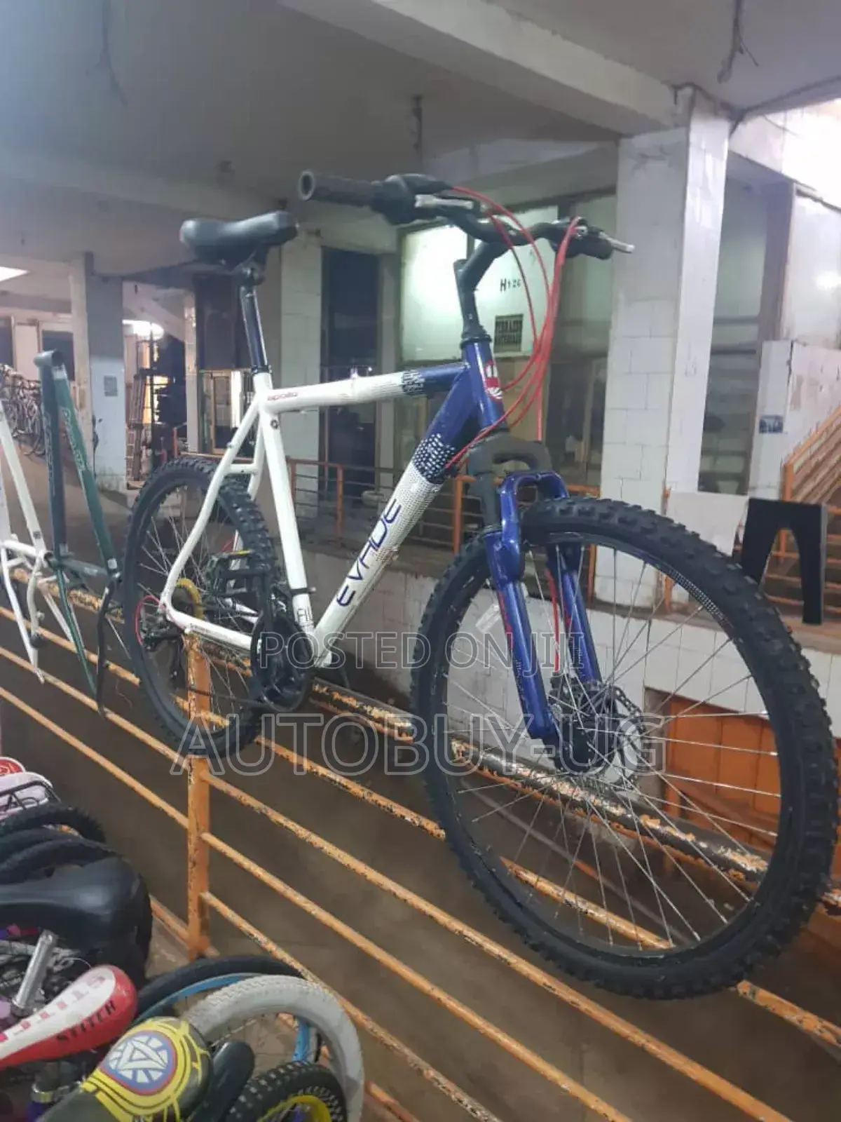 Mountain Bikes