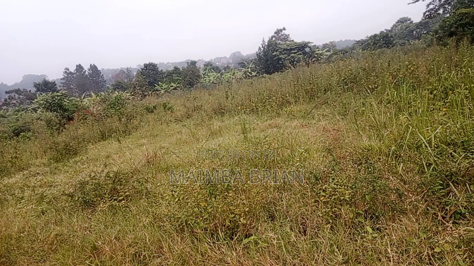 Brand New Estate in Janya Mpigi on 14 Acres of Land