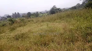 Brand New Estate in Janya Mpigi on 14 Acres of Land