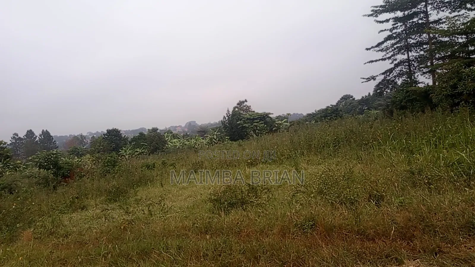 Brand New Estate in Janya Mpigi on 14 Acres of Land