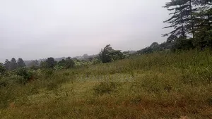 Brand New Estate in Janya Mpigi on 14 Acres of Land
