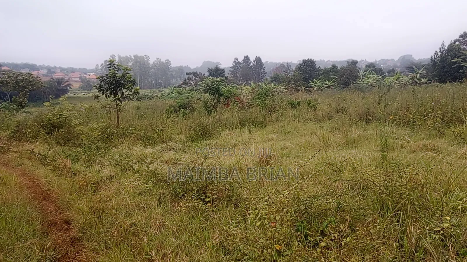 Brand New Estate in Janya Mpigi on 14 Acres of Land
