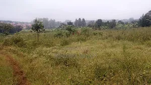 Brand New Estate in Janya Mpigi on 14 Acres of Land