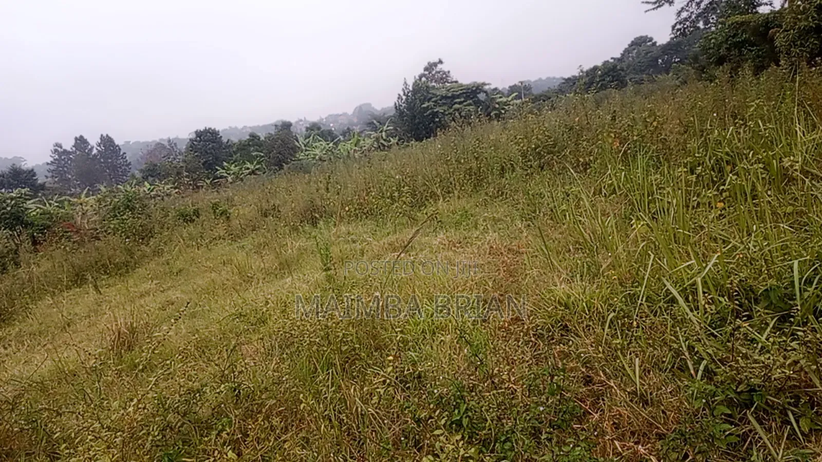 Brand New Estate in Janya Mpigi on 14 Acres of Land