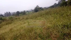 Brand New Estate in Janya Mpigi on 14 Acres of Land