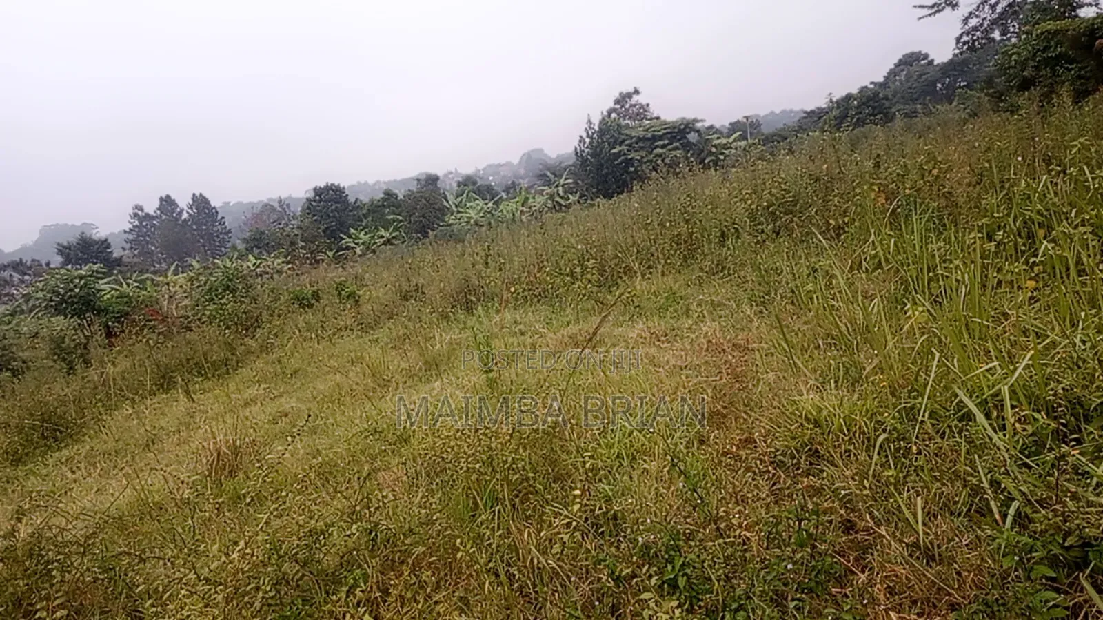 Brand New Estate in Janya Mpigi on 14 Acres of Land