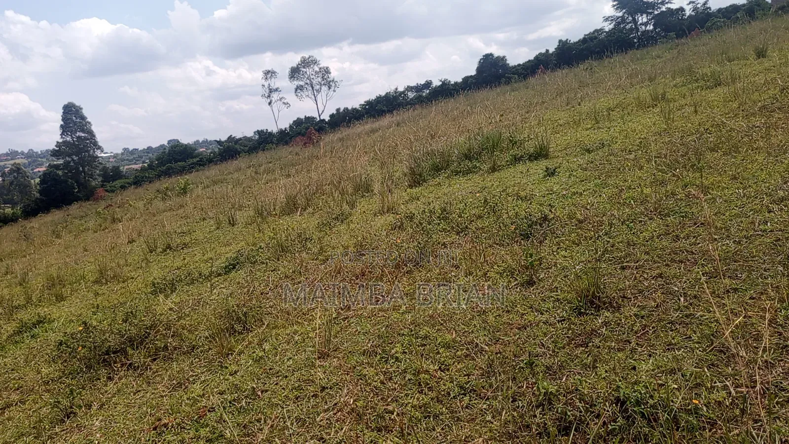 Brand New Estate in Janya Mpigi on 14 Acres of Land