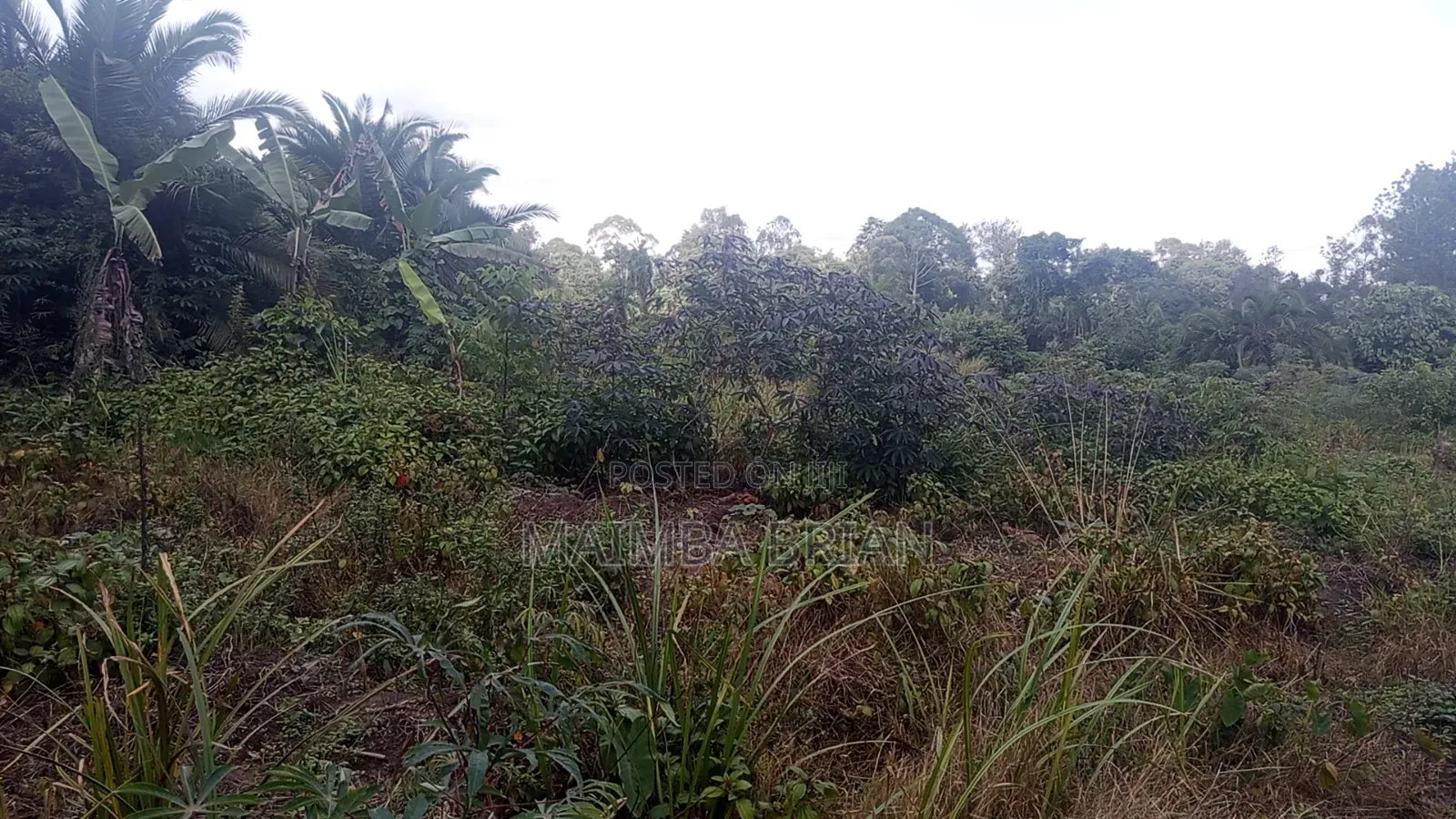8 Acres of Land in Buwama Mpigi