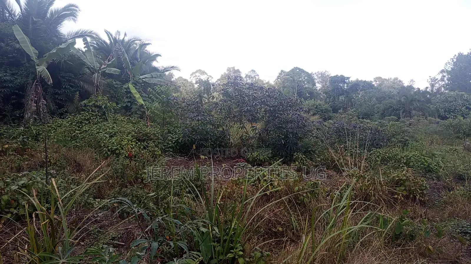 8 Acres of Land in Buwama Mpigi