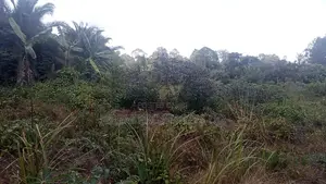 8 Acres of Land in Buwama Mpigi