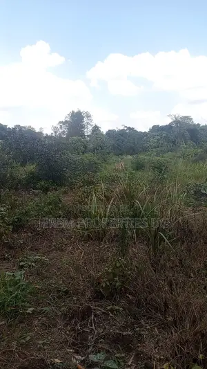 8 Acres of Land in Buwama Mpigi
