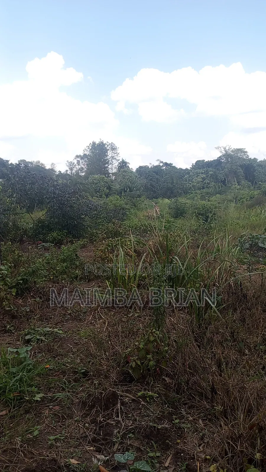 8 Acres of Land in Buwama Mpigi