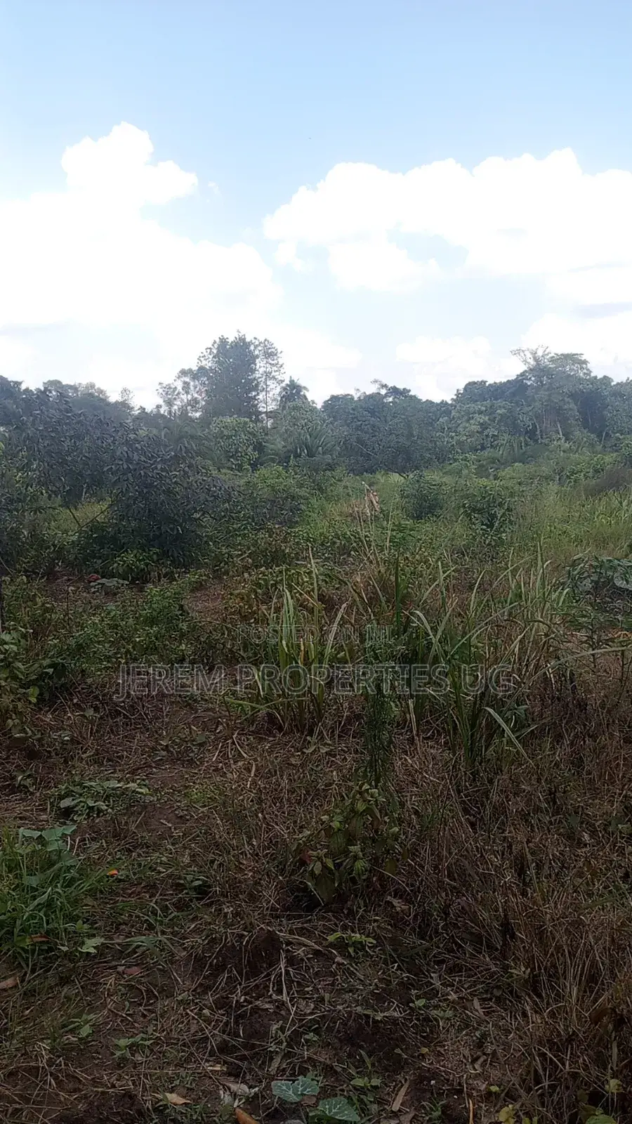 8 Acres of Land in Buwama Mpigi