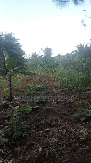 8 Acres of Land in Buwama Mpigi