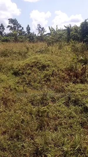 8 Acres of Land in Buwama Mpigi